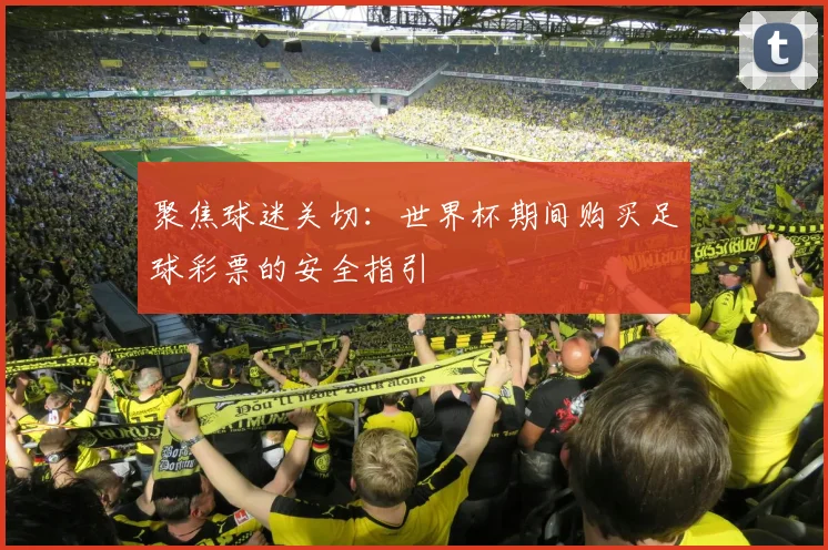 聚焦球迷关切：世界杯期间购买足球彩票的安全指引