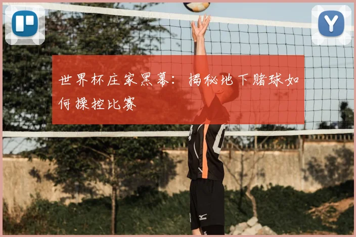 世界杯庄家黑幕：揭秘地下赌球如何操控比赛