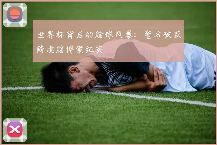 世界杯背后的赌球风暴:警方破获跨境赌博案纪实