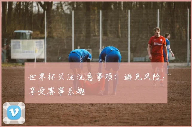 世界杯买注注意事项：避免风险，享受赛事乐趣
